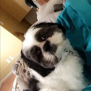 Meet your Posher, Kennadee